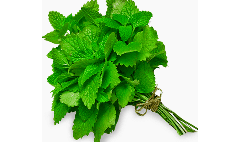 Botte de Menthe